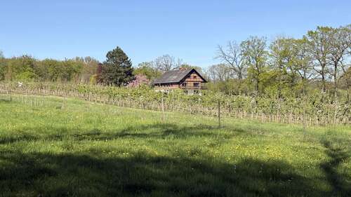Foto - Haus zum Kaufen in Oelde 985.000,00 € 250 m²