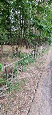 Foto - Grundstück zu verkaufen in Fichtenwalde 35.000,00 € 1226 m²