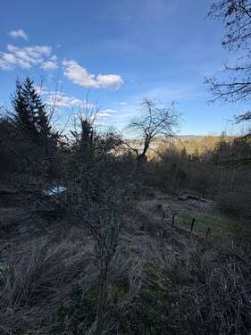 Foto - Grundstück zu verkaufen in Stuttgart 31.900,00 € 1454 m²