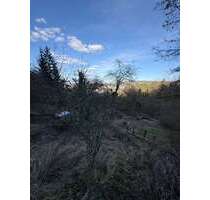 Grundstück zu verkaufen in Stuttgart 31.900,00 € 1454 m²