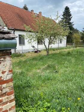 Foto - Haus zum Kaufen in Müllrose 199.000,00 € 120 m²