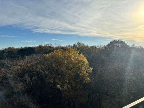 Foto - Wohnung zum Kaufen in Hannover 196.000,00 € 58 m²