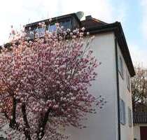 Wohnung zum Mieten in Stuttgart 800,00 € 58 m²