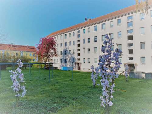 Foto - Wohnung zum Mieten in Wurzen 355,00 € 50.85 m²