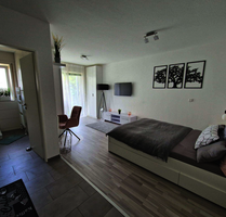 Wohnen auf Zeit in Esslingen am Neckar 1.150,00 €