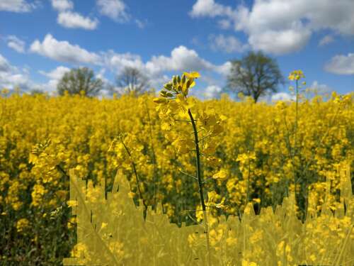 Foto - Grundstück zu verkaufen in Käbschütztal 104.125,00 € 833 m²