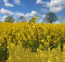 Grundstück zu verkaufen in Käbschütztal 104.125,00 € 833 m²