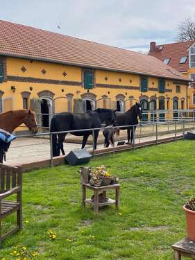 Foto - Spezialgewerbe in Am Mellensee 3.950.000,00 €