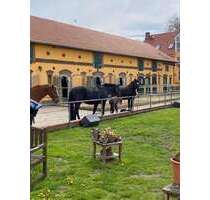 Spezialgewerbe in Am Mellensee 3.950.000,00 €