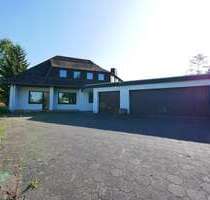 Spezialgewerbe in Bad Driburg 395.000,00 € 100 m²