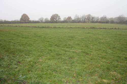 Foto - Haus zum Kaufen in Hanerau-Hademarschen 590.000,00 € 260 m²