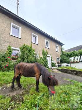 Foto - Haus zum Kaufen in Grafengehaig 129.000,00 € 220 m²