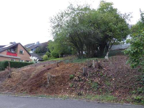 Foto - Grundstück zu verkaufen in Neckargemünd 200.000,00 € 311 m²