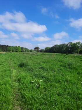 Foto - Grundstück zu verkaufen in Lütjensee 750.000,00 € 35315 m²