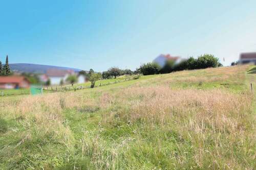 Foto - Grundstück zu verkaufen in Schieder-Schwalenberg 44.000,00 € 1000.3 m²