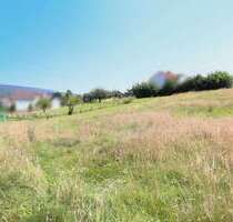 Grundstück zu verkaufen in Schieder-Schwalenberg 44.000,00 € 1000.3 m²