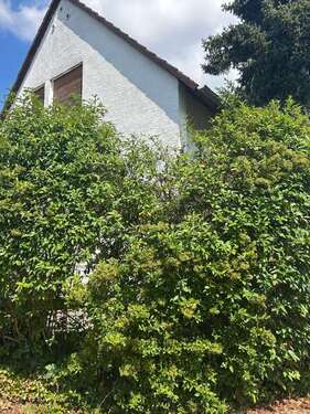 Foto - Haus zum Kaufen in Seeheim-Jugenheim 449.900,00 € 140 m²