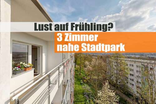 Foto - Wohnung zum Mieten in Chemnitz 340,00 € 56 m²