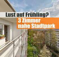 Wohnung zum Mieten in Chemnitz 340,00 € 56 m²