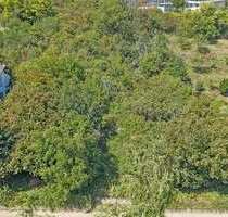 Grundstück zu verkaufen in Mayen 349.000,00 € 1962 m²