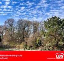 Grundstück zu verkaufen in Zeuthen 300.000,00 € 800 m²