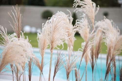 Foto - Haus zum Kaufen in Pirna 526.783,00 € 135 m²