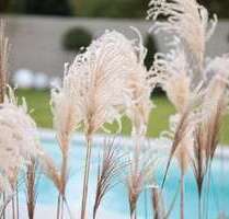 Haus zum Kaufen in Pirna 526.783,00 € 135 m²