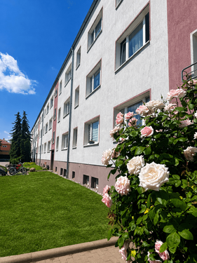 Foto - Wohnung zum Mieten in Beilrode 300,00 € 60 m²