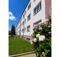 Wohnung zum Mieten in Beilrode 300,00 € 60 m²