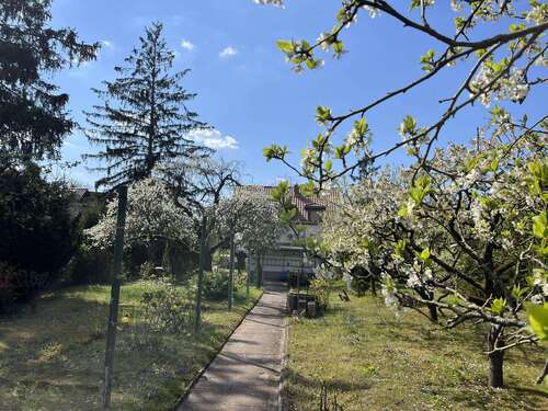 Foto - Haus zum Kaufen in Mannheim 825.000,00 € 93 m²