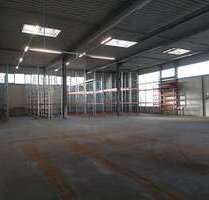 Halle in Buxtehude 3.850,00 € 650 m²