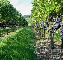 Haus zum Kaufen in Trento 8.950.000,00 € 489 m²