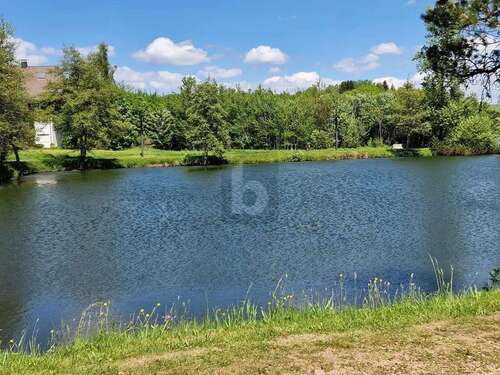 Foto - Grundstück in Herrischried 990.000,00 € 5964 m²