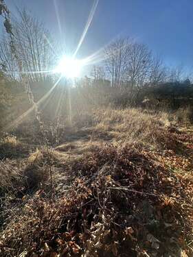 Foto - Grundstück zu verkaufen in Wennigsen 179.000,00 € 690 m²