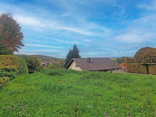 Foto - Grundstück zu verkaufen in Dielheim 249.000,00 € 481 m²