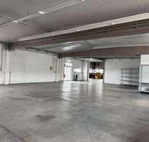 Halle in Nordrhein-Westfalen - Bünde 1.782,00 € 325 m²