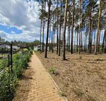 Grundstück zu verkaufen in Borkwalde 230.000,00 € 1081 m²