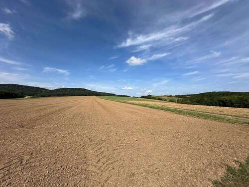 Foto - Grundstück in Bad Staffelstein 300.000,00 € 26035 m²