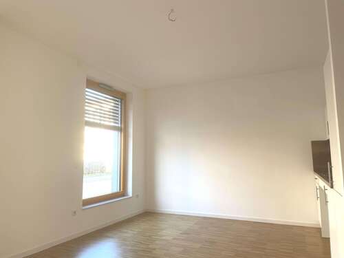 Foto - Wohnung zum Mieten in Greifswald 400,00 € 34.5 m²