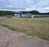 Grundstück zu verkaufen in Damflos 68.000,00 € 852 m²