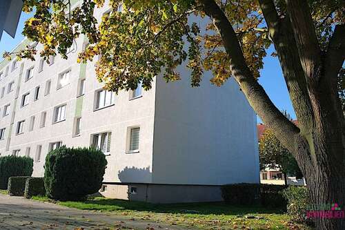 Foto - Wohnung zum Kaufen in Magdeburg 98.000,00 € 70 m²