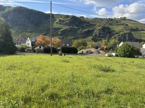 Foto - Grundstück zu verkaufen in Burg(Mosel) 89.000,00 € 1241 m²