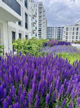 Foto - Wohnung zum Mieten in Berlin 850,00 € 37.15 m²
