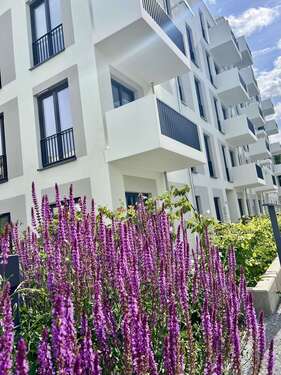 Foto - Wohnung zum Mieten in Berlin 1.094,00 € 44.95 m²