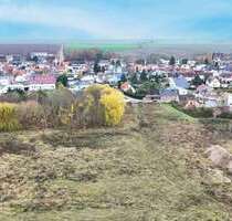 Grundstück zu verkaufen in Großpaschleben 250.000,00 € 21000 m²