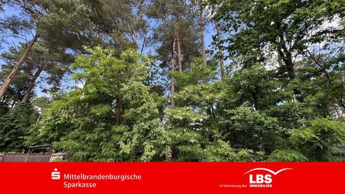 Foto - Haus zum Kaufen in Wandlitz 260.000,00 € 25 m²