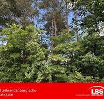 Haus zum Kaufen in Wandlitz 260.000,00 € 25 m²