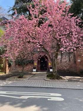 Foto - Wohnung zum Kaufen in Heidelberg 1.022.000,00 € 107 m²