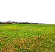 Grundstück zu verkaufen in Teutschenthal 29.000,00 € 1378 m²