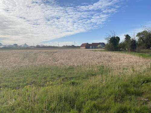 Foto - Grundstück zu verkaufen in Söhlde 169.000,00 € 1270 m²